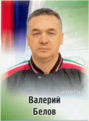 Валерий Белов (Ак Барс Казань). SeReal КХЛ 2012-2013, №349.