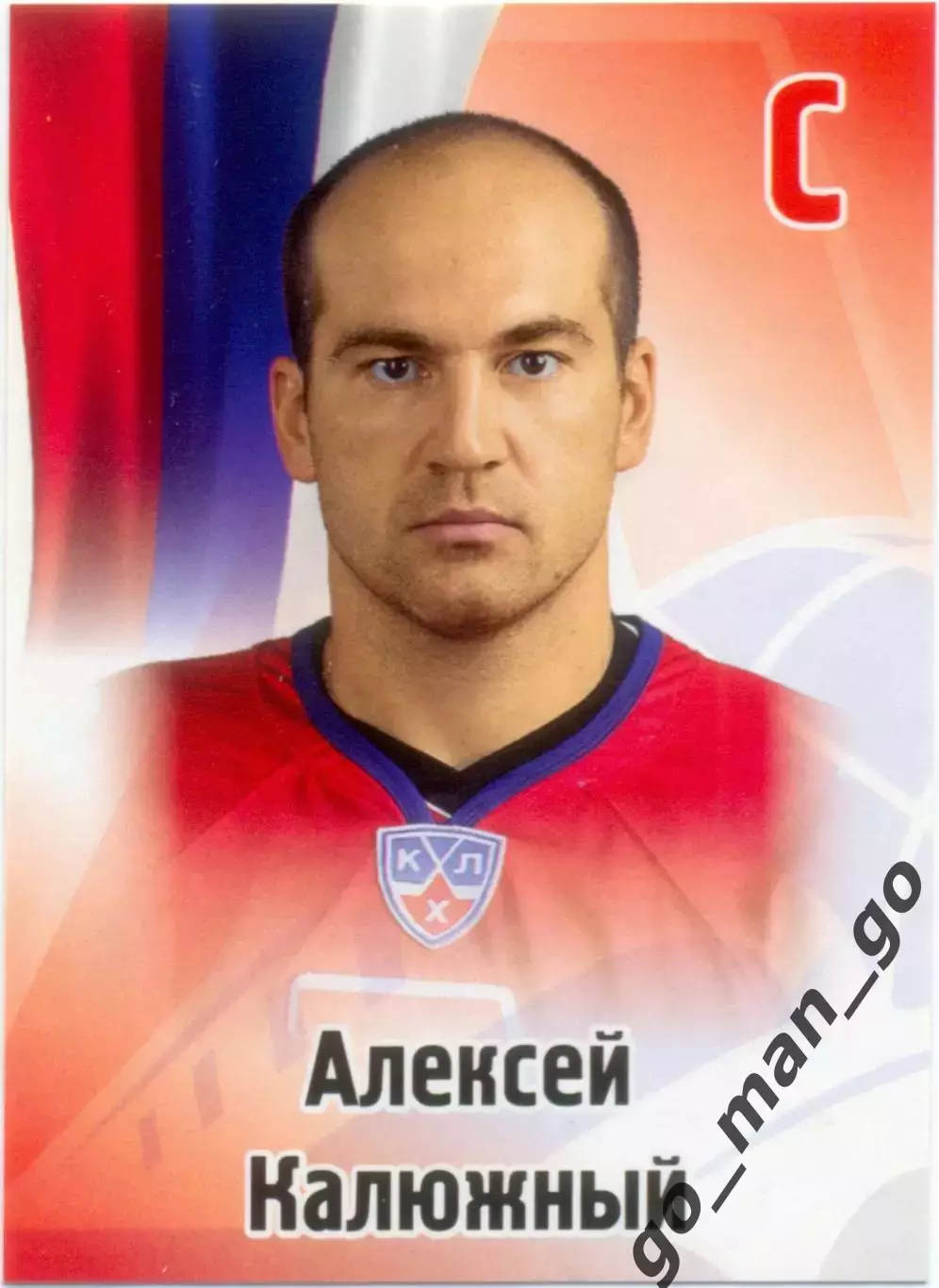 Алексей Калюжный (Локомотив Ярославль). SeReal КХЛ 2012-2013, №210.