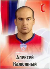 Алексей Калюжный (Локомотив Ярославль). SeReal КХЛ 2012-2013, №210.