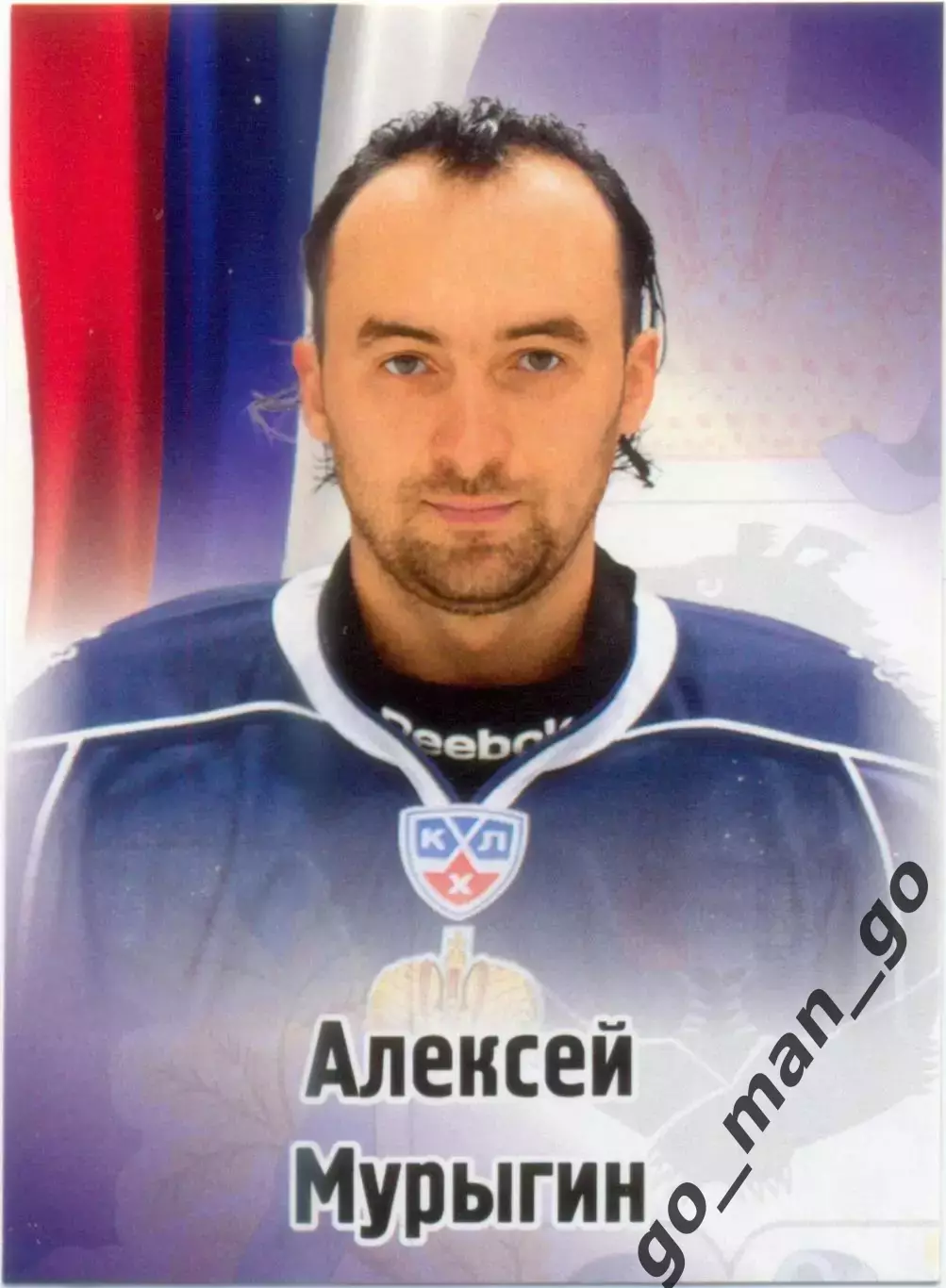 Алексей Мурыгин (Амур Хабаровск). SeReal КХЛ 2012-2013, №495.