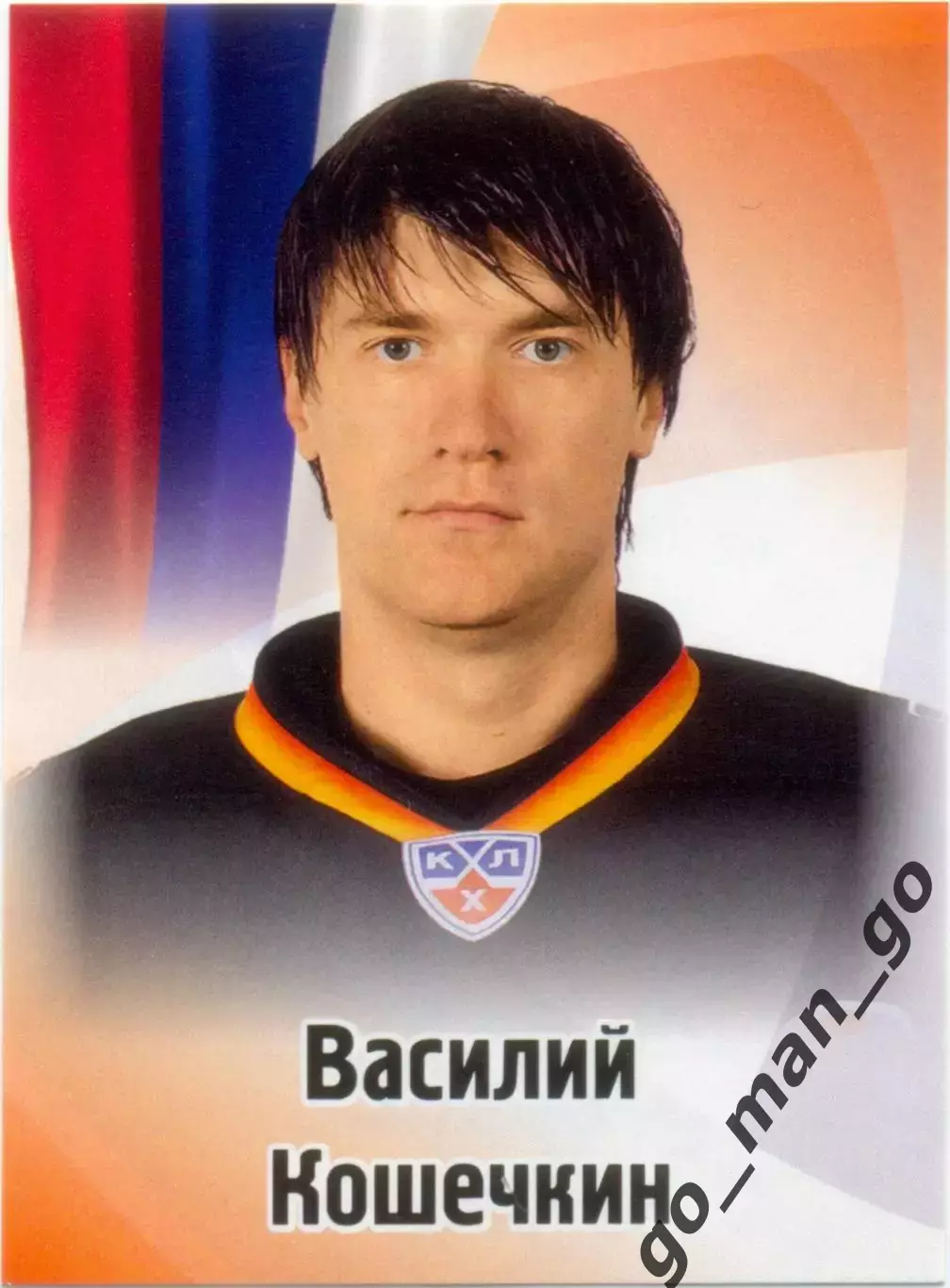 Василий Кошечкин (Северсталь Череповец). SeReal КХЛ 2012-2013, №241.