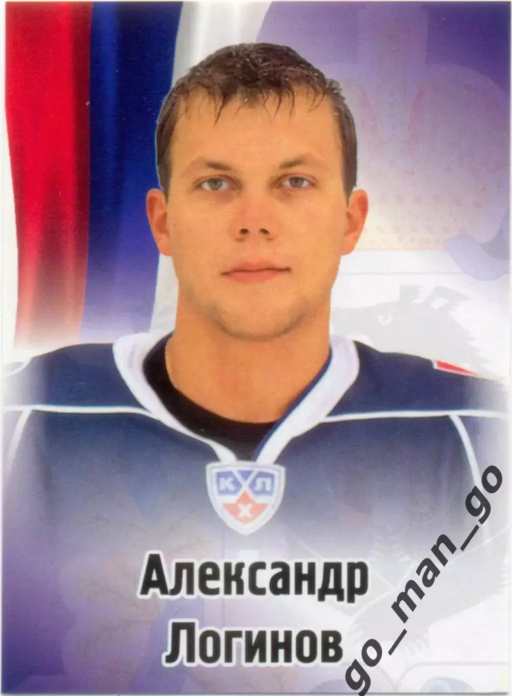 Александр Логинов (Амур Хабаровск). SeReal КХЛ 2012-2013, №496.