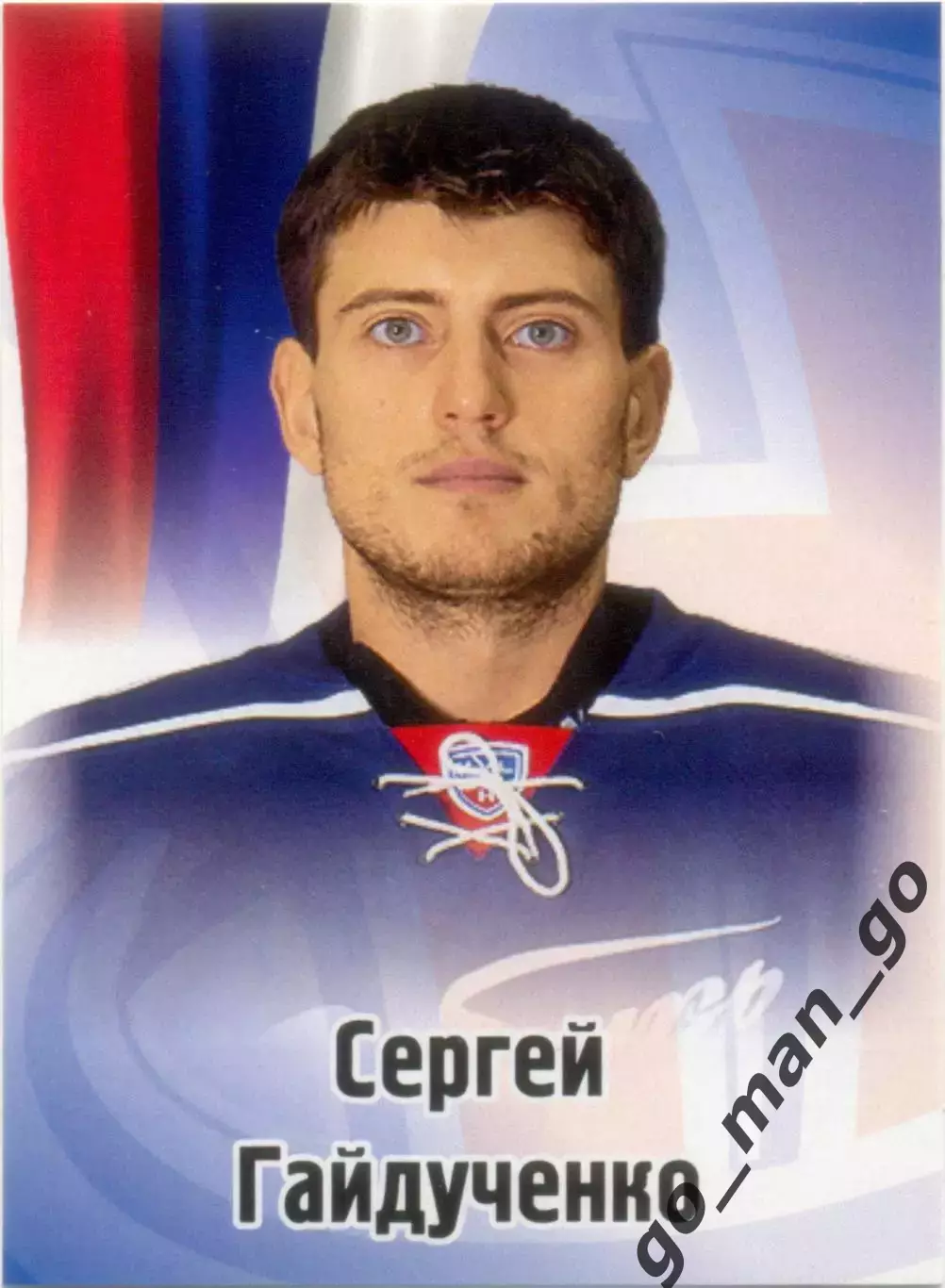 Сергей Гайдученко (Сибирь Новосибирск). SeReal КХЛ 2012-2013, №587.
