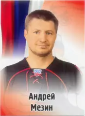 Андрей Мезин (Трактор Челябинск). SeReal КХЛ 2012-2013, №427.