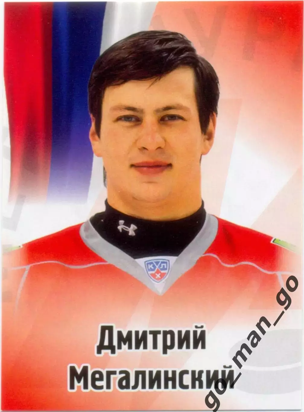 Дмитрий Мегалинский (Металлург Новокузнецк). SeReal КХЛ 2012-2013, №543.