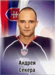 Андрей Секера (Слован Братислава). SeReal КХЛ 2012-2013, №128.