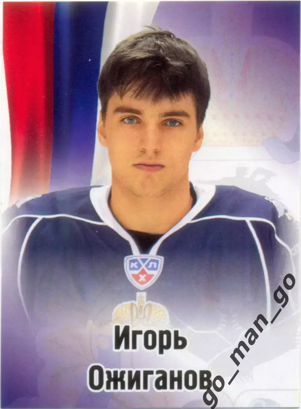 Игорь Ожиганов (Амур Хабаровск). SeReal КХЛ 2012-2013, №497.