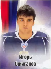 Игорь Ожиганов (Амур Хабаровск). SeReal КХЛ 2012-2013, №497.