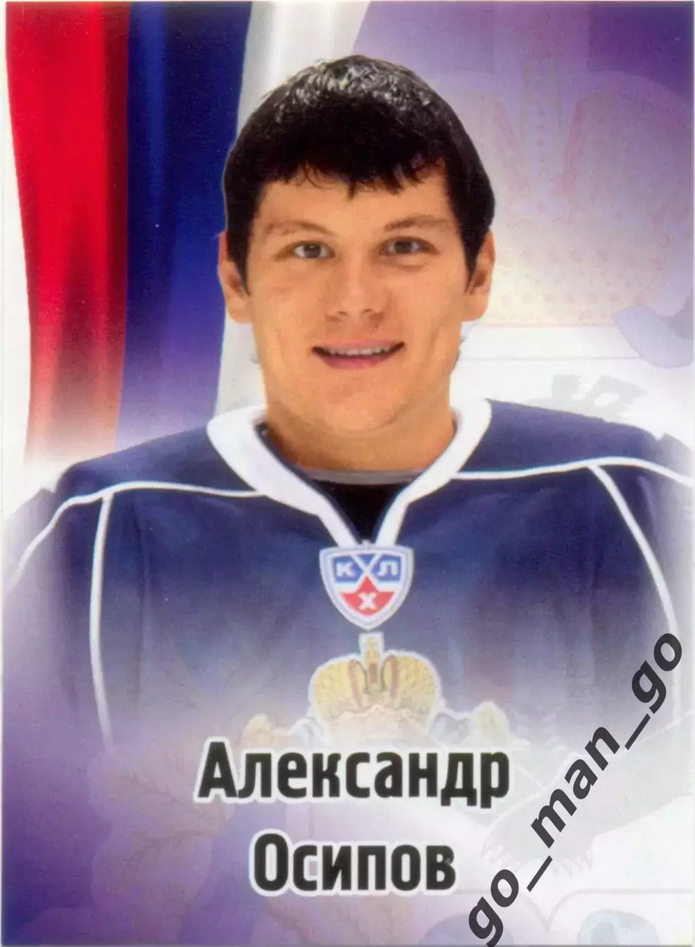 Александр Осипов (Амур Хабаровск). SeReal КХЛ 2012-2013, №498.