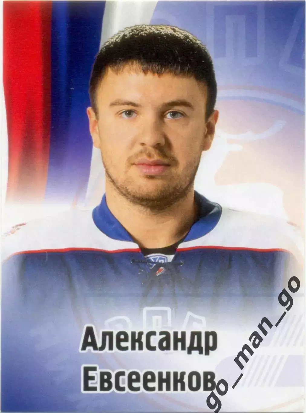 Александр Евсеенков (Торпедо Нижний Новгород). SeReal КХЛ 2012-2013, №289.