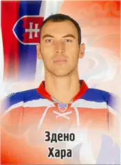 Здено Хара (Лев Прага). SeReal КХЛ 2012-2013, №107.