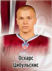 Оскарс Цибульскис (Динамо Рига). SeReal КХЛ 2012-2013, №61.