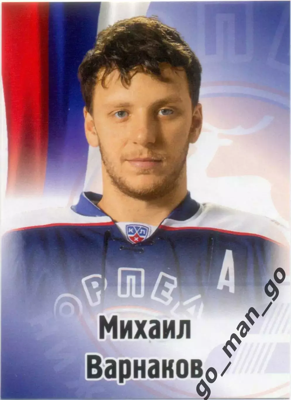 Михаил Варнаков (Торпедо Нижний Новгород). SeReal КХЛ 2012-2013, №292.