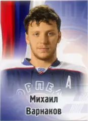 Михаил Варнаков (Торпедо Нижний Новгород). SeReal КХЛ 2012-2013, №292.