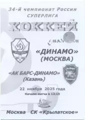 ДИНАМО Москва – АК БАРС-ДИНАМО Казань 22.11.2025, черно-белая.