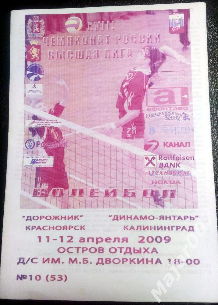 Дорожник (Красноярск) - Динамо-Янтарь (Калининград) 2008-2009 г.